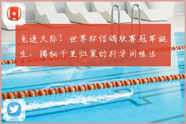 竞速天际！世界杯信鸽联赛冠军诞生，揭秘千里归巢的科学训练法