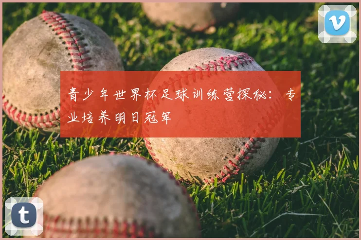 青少年世界杯足球训练营探秘：专业培养明日冠军