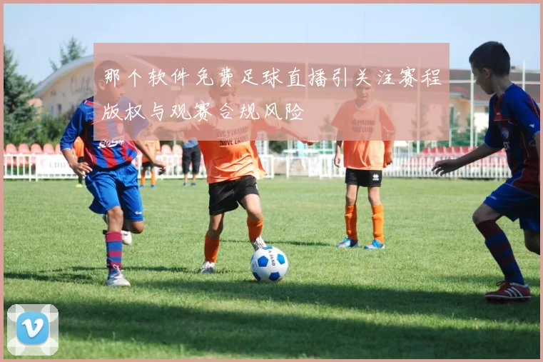 那个软件免费足球直播引关注赛程版权与观赛合规风险
